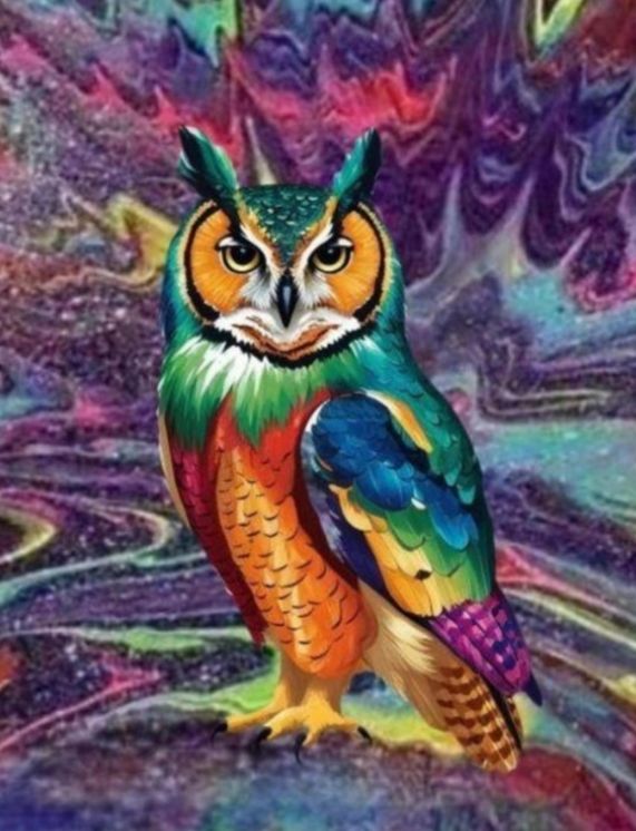 1076 beautiful colorful owl print