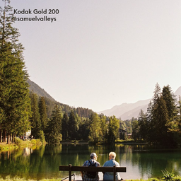 Kodak Gold 200 135-36 | Color Negative Film