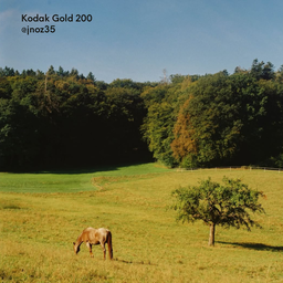 Kodak Gold 200 135-36 | Color Negative Film
