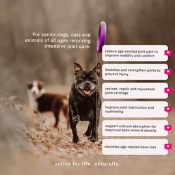 NUTRIFLEX COLLAGEN for DOGS & CATS