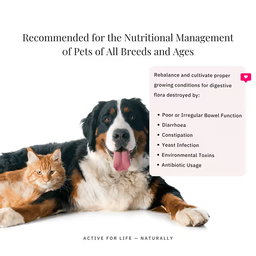 FloraMax Probiotic for Dogs and Cats 180g – Digestive Health and Gut Balance