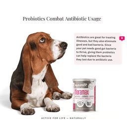 FloraMax Probiotic for Dogs and Cats 180g – Digestive Health and Gut Balance