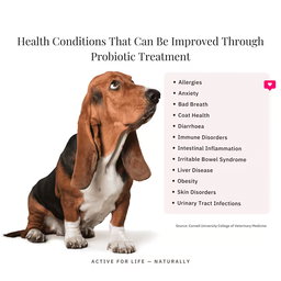 FloraMax Probiotic for Dogs and Cats 180g – Digestive Health and Gut Balance