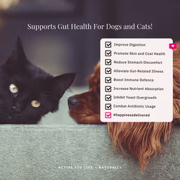 FloraMax Probiotic for Dogs and Cats 180g – Digestive Health and Gut Balance