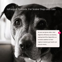 DigestiMax Extra-Strength Probiotics For Dogs And Cats 180g