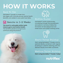 DentaMax Oral Hygiene Dental Powder For Dogs & Cats
