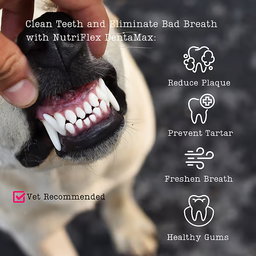 DentaMax Oral Hygiene Dental Powder For Dogs & Cats