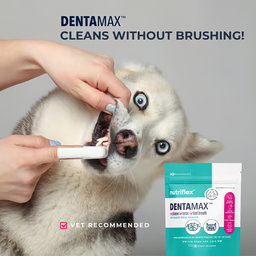 DentaMax Oral Hygiene Dental Powder For Dogs & Cats