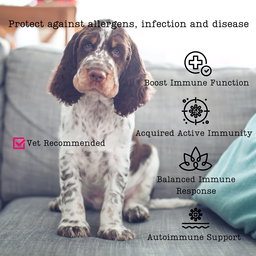 ImmuniMax Colostrum For Dogs – Immune Boost and Balance 100g