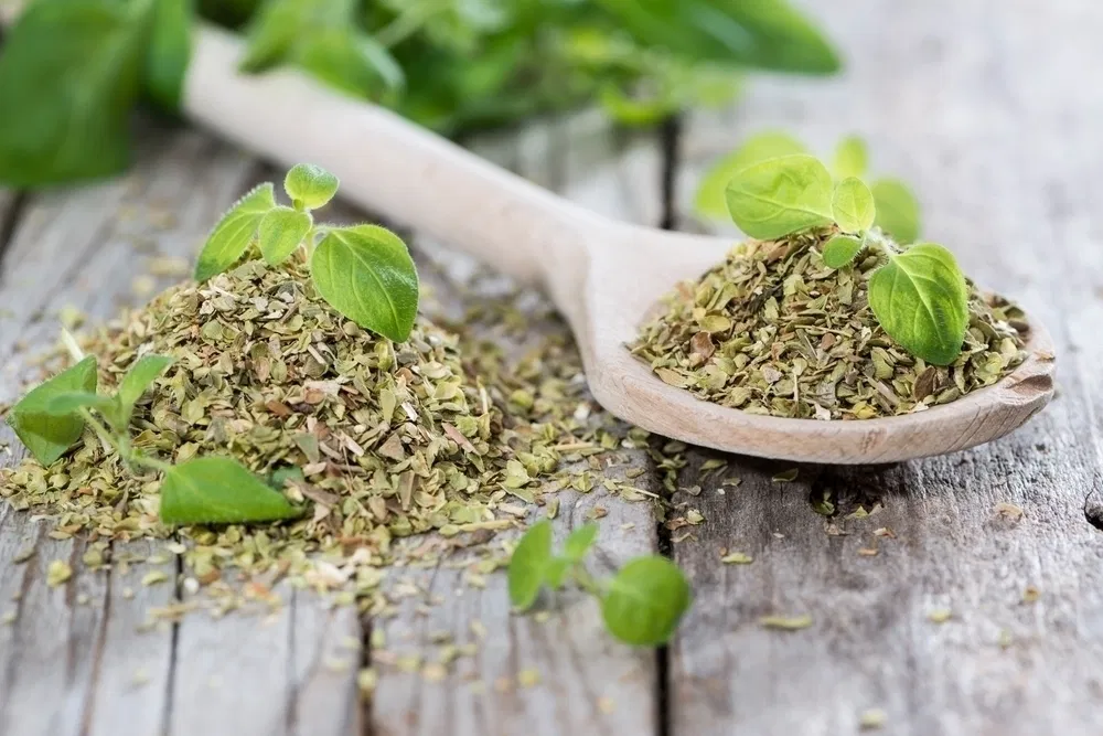 Dried Oregano