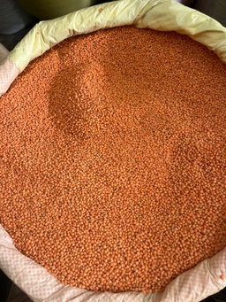 Musuro daal (500g)