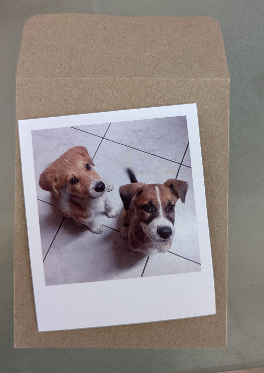 Standard Polaroid Prints