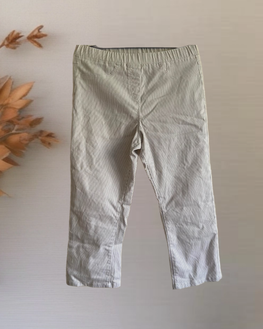 Pinstripe Pants_0