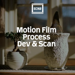 Film Processing : Develop and Scan 135/120