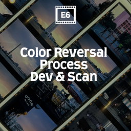 Film Processing : Develop and Scan 135/120