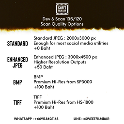 Film Processing : Develop and Scan 135/120