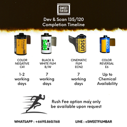 Film Processing : Develop and Scan 135/120