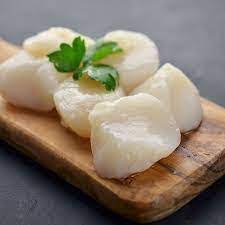 Scallops Meat