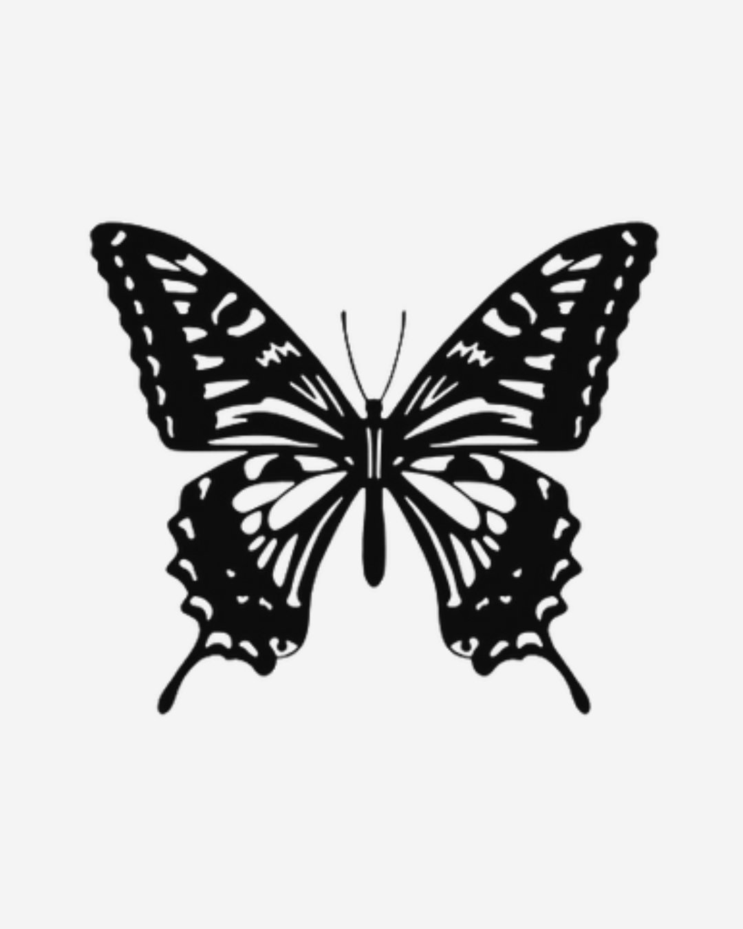 Mariposa_1
