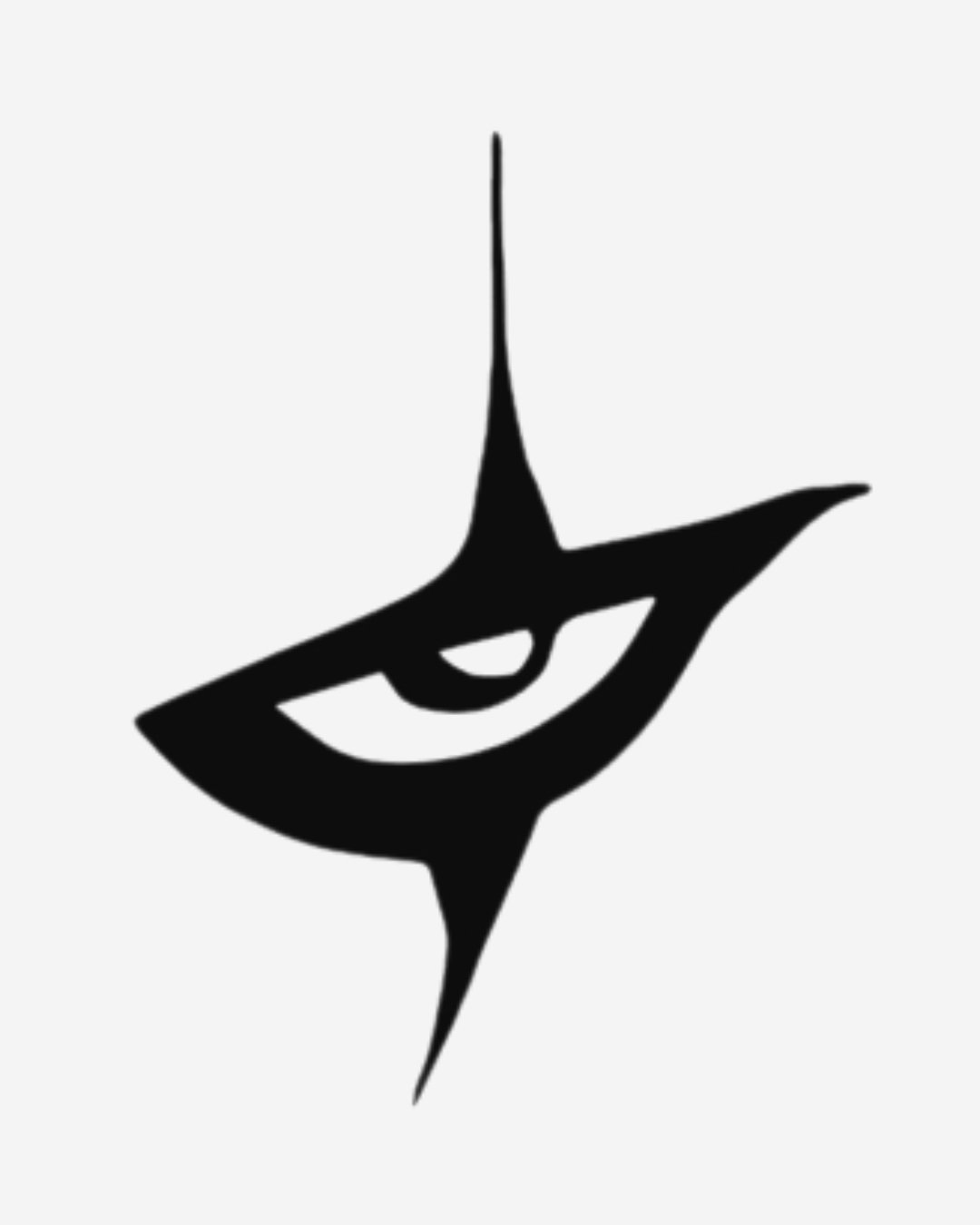 IT ojo_1