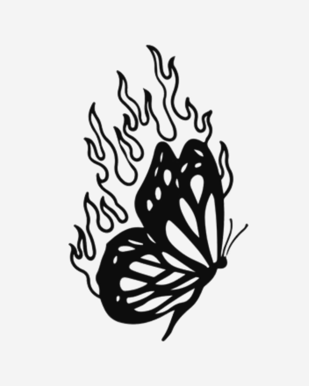 Mariposa en llamas_1