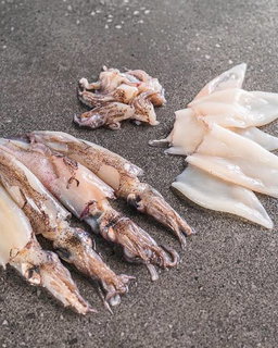 Squid / Calamari