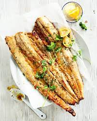 Snoek / Flecked