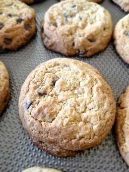 Jumbo Chocolate Chip Cookie with flaked Sea Salt