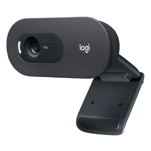 Logitech HD Webcam C505E_0
