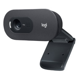 Logitech HD Webcam C505E