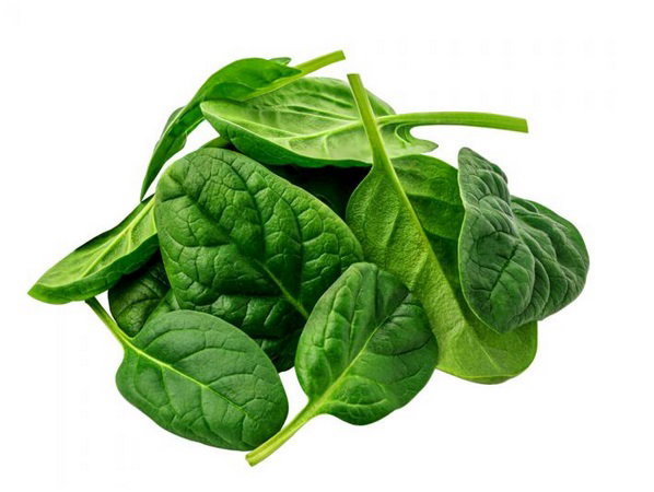 Baby Spinach  🔥 Sukkot Special Pricing