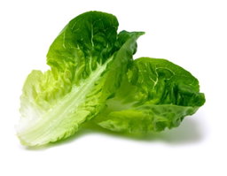 Romaine Hearts (1lb) 🥗