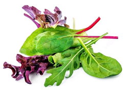 Spring Mix  🔥 Sukkot Special Pricing