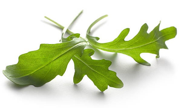 Baby Arugula_1