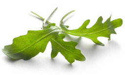 Baby Arugula