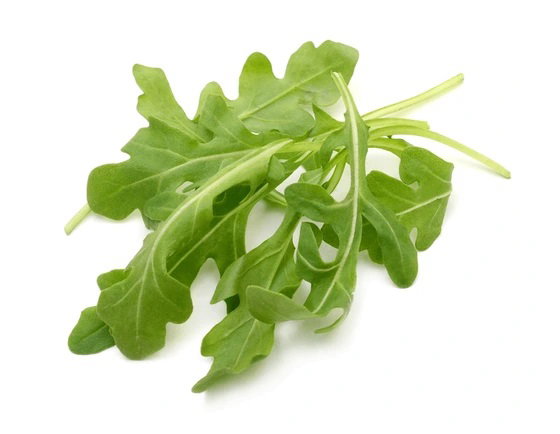 Baby Arugula