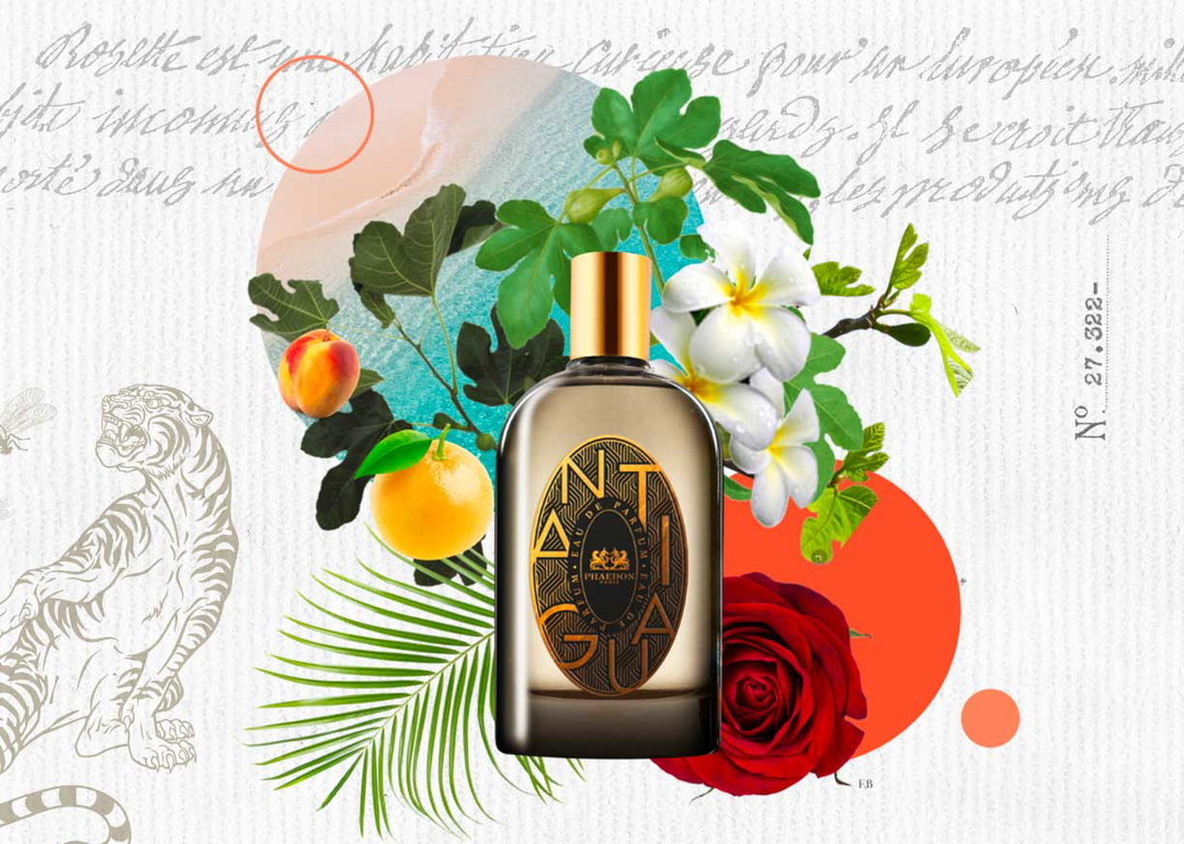 Phaedon Antigua Edp 100ml Perfume 