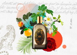 Phaedon Antigua Edp 100ml Perfume 