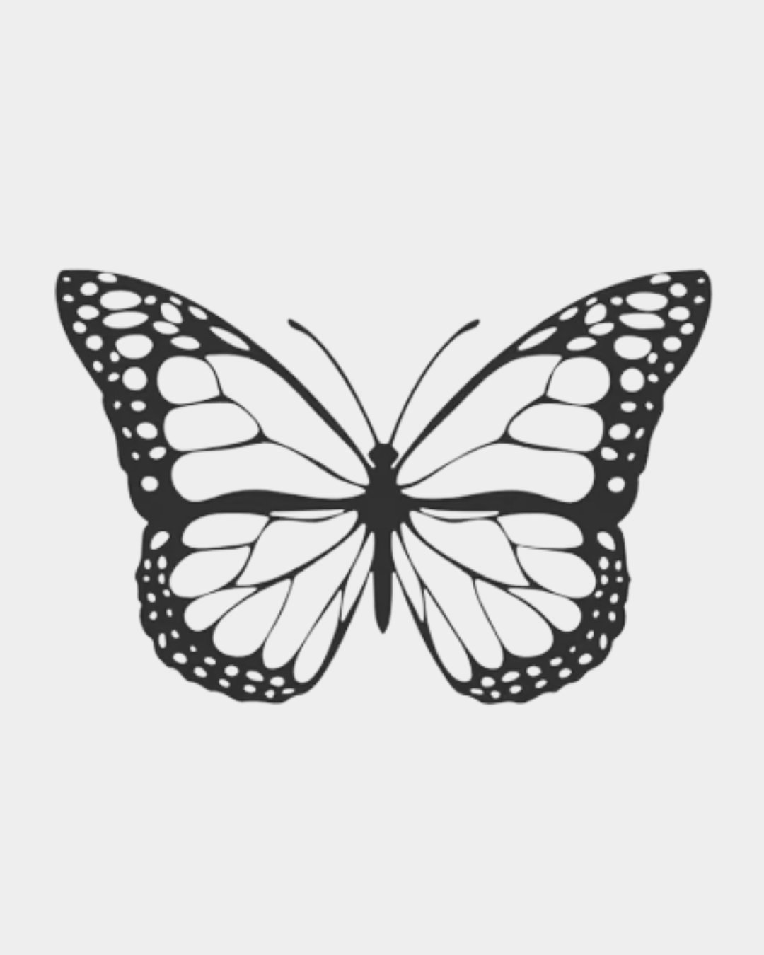 MariposaSimple_4