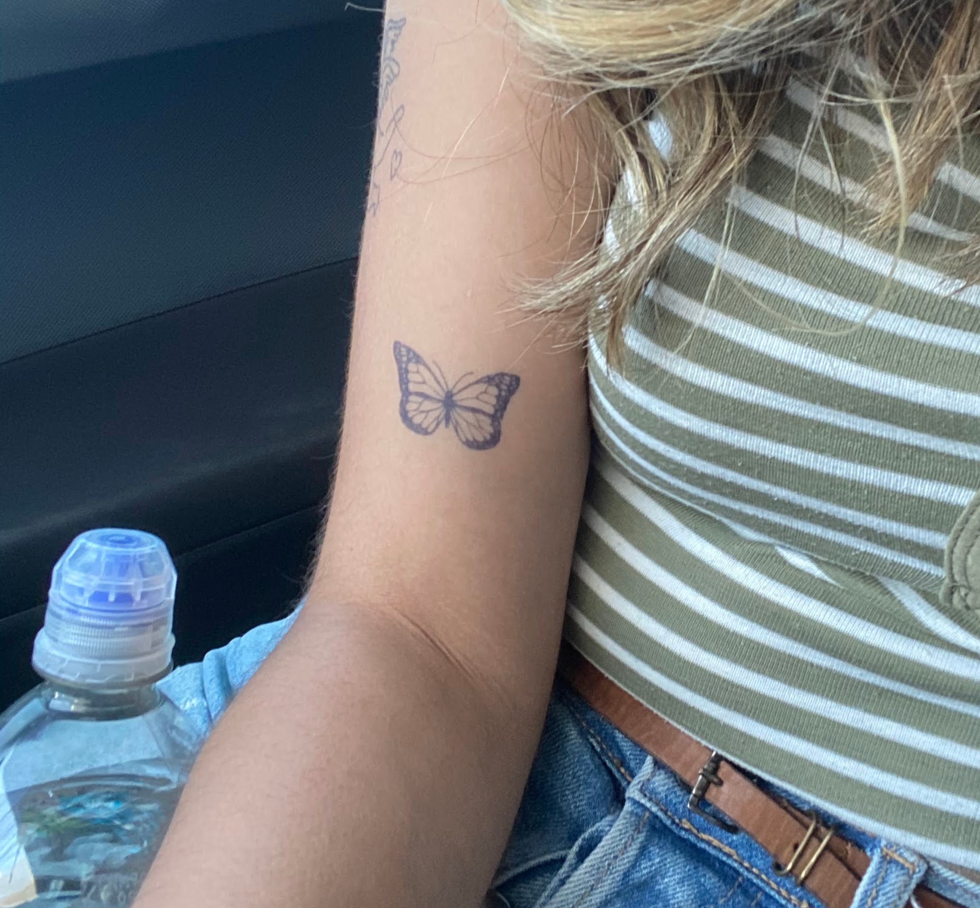 MariposaSimple_1