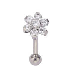 Barbell Flor