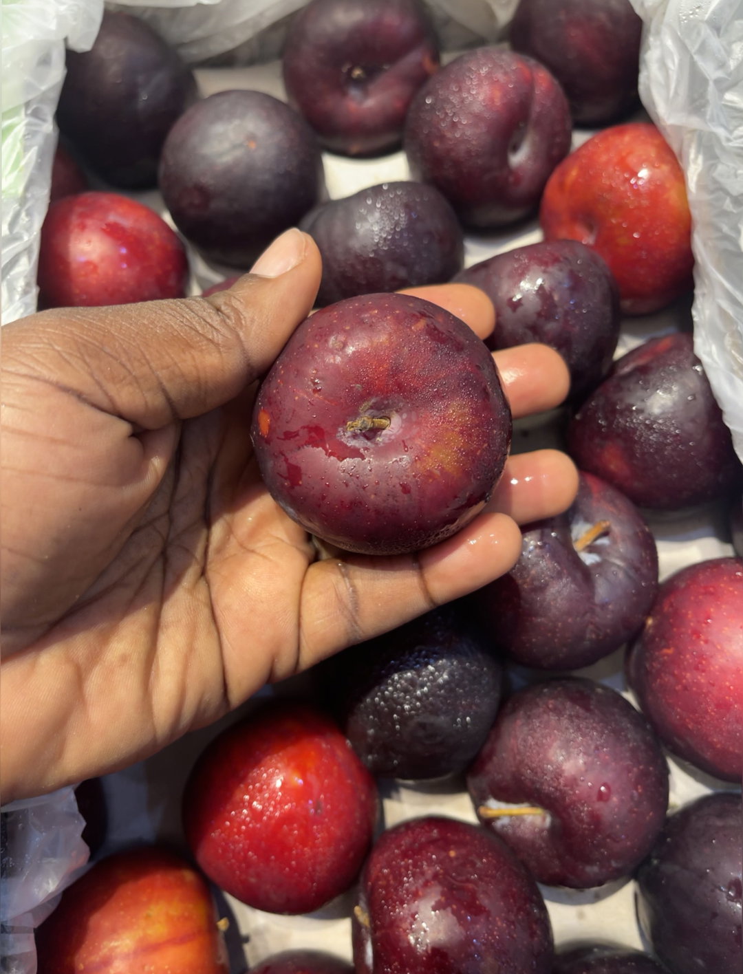 Plums x 3pieces