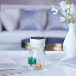 Glass Bottle Ultrasonic Humidifier