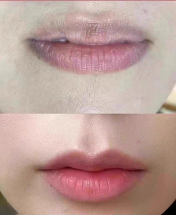 مجموعة توريد الشفاه بشكل دائم 💕