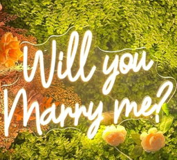 Will You Marry Me Neon Sign