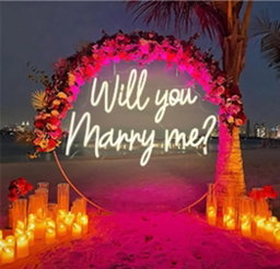 Will You Marry Me Neon Sign