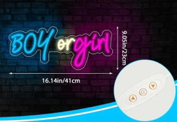 Boy or Girl Neon Sign