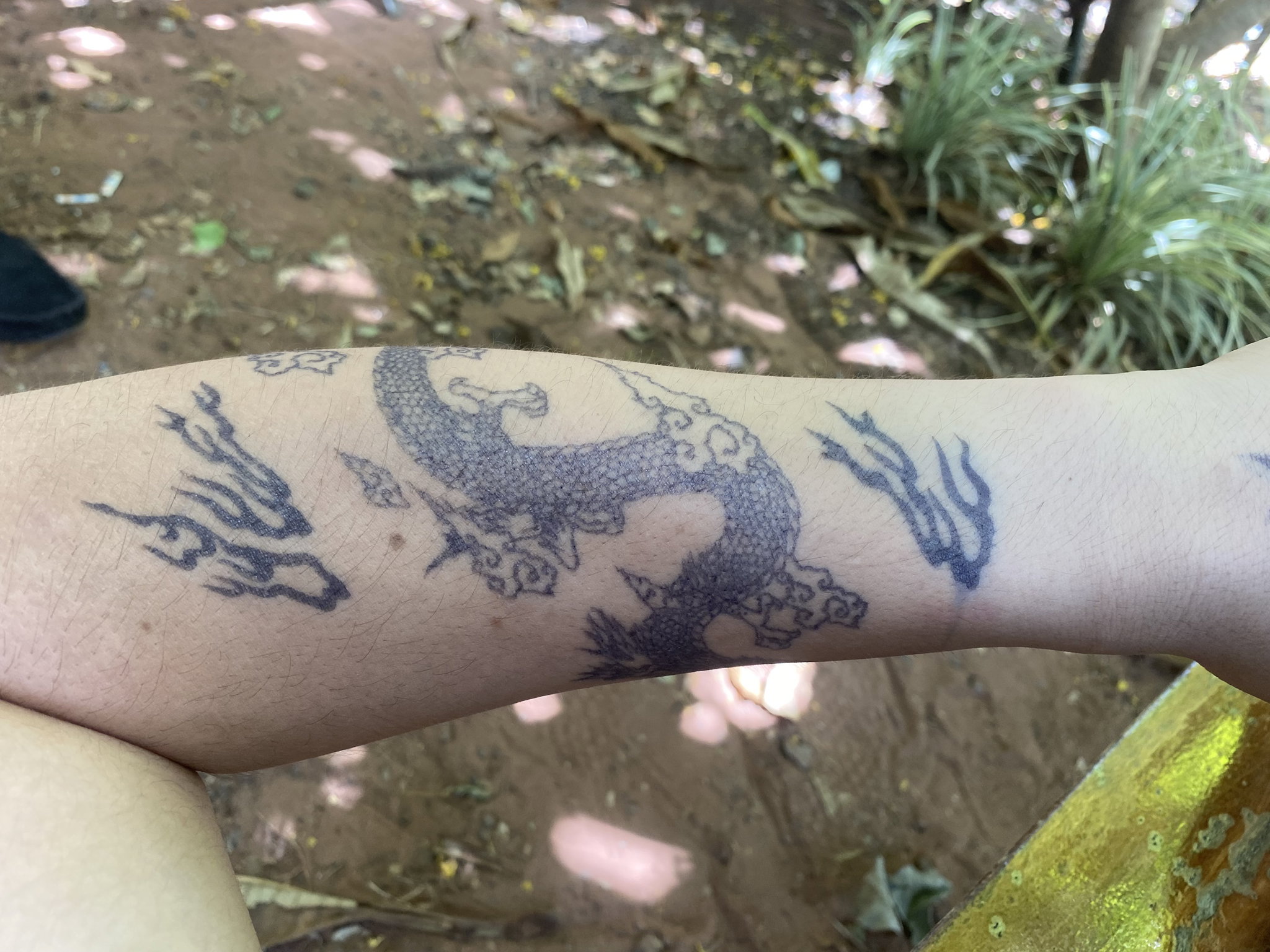 Dragon Legendario_1