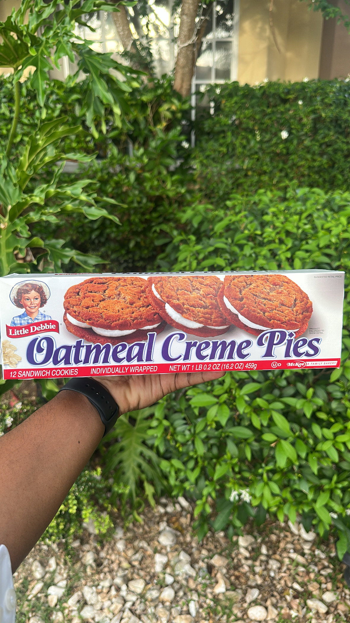 Galletas Oatmeal Creme Pies_0