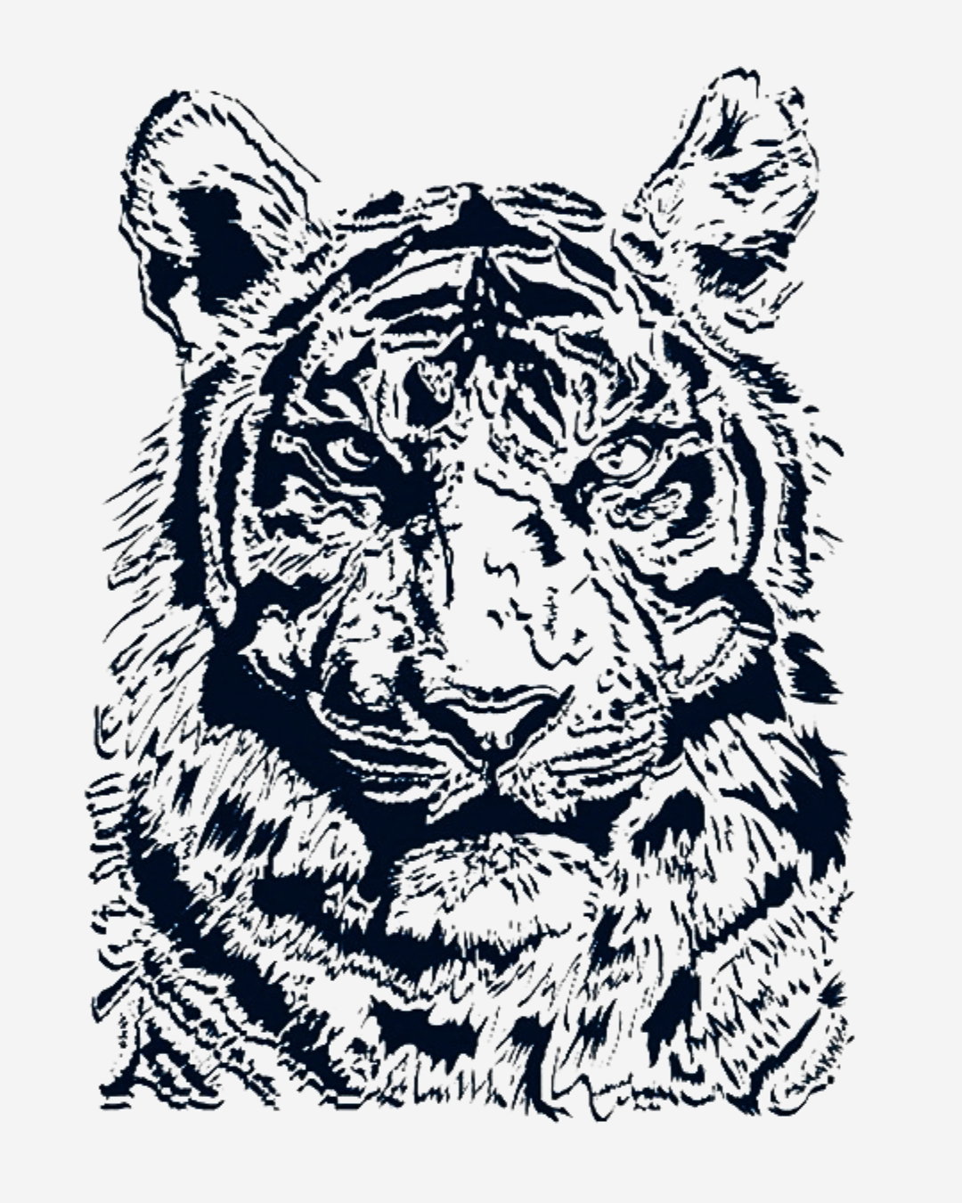 TigerRr_2